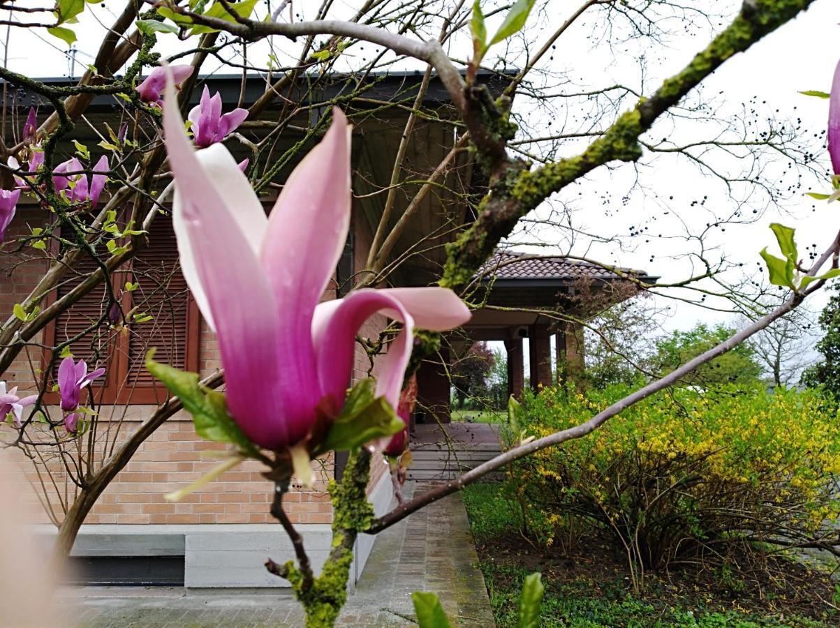 Agriturismo I Quercioli Parma Dış mekan fotoğraf